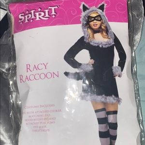 Racy Raccoon costume!